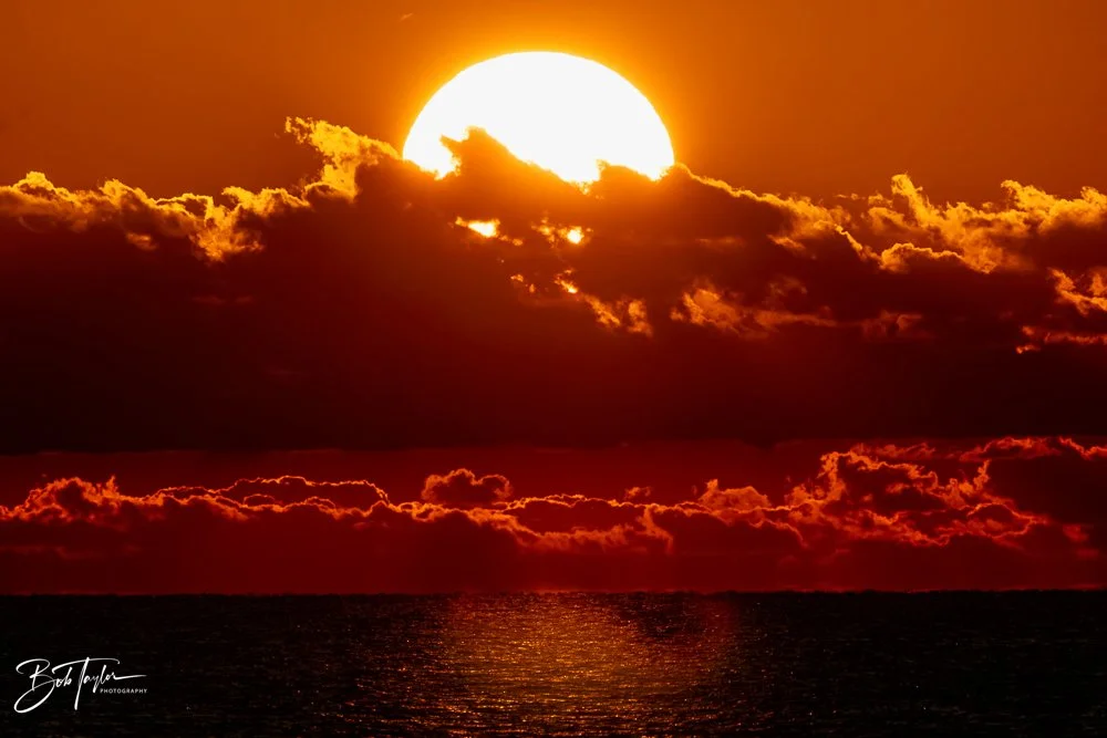 20231018-SASP 2023 -82.jpg