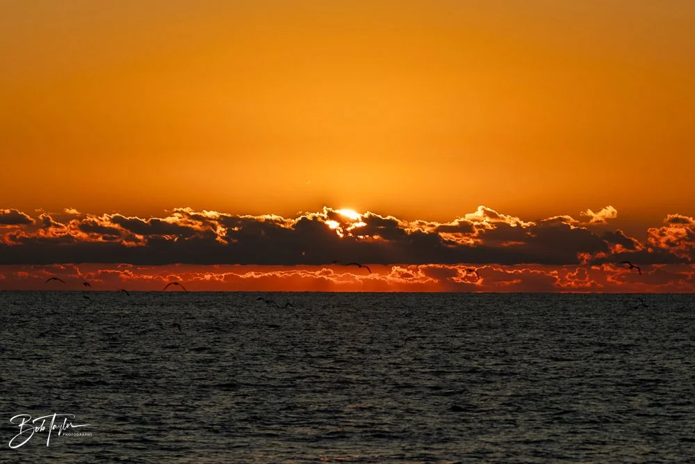 20231018-SASP 2023 -83.jpg