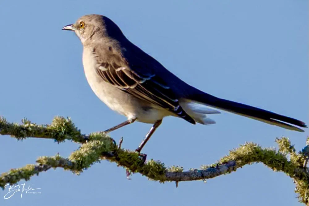 20231018-SASP 2023 -58.jpg