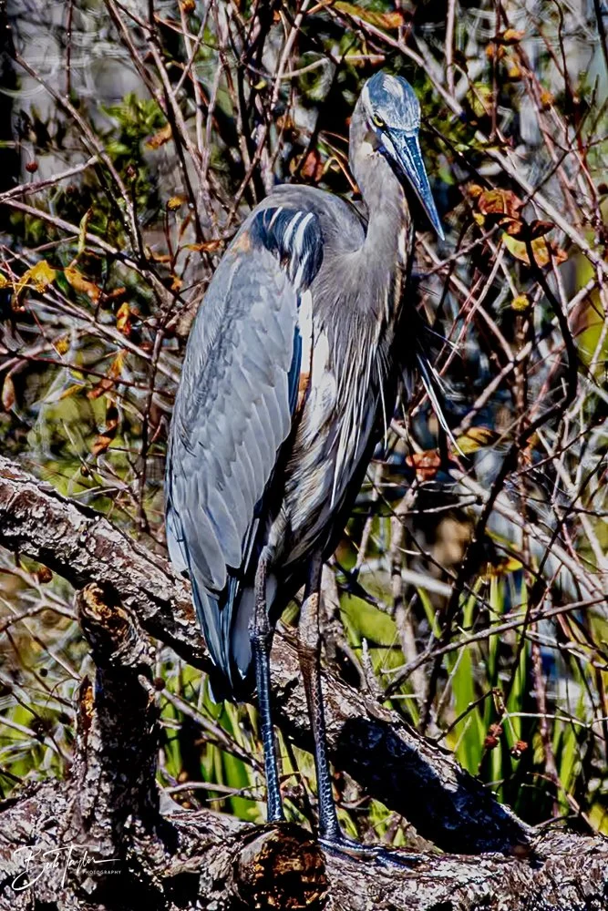 20231020-SASP 2023 -141.jpg