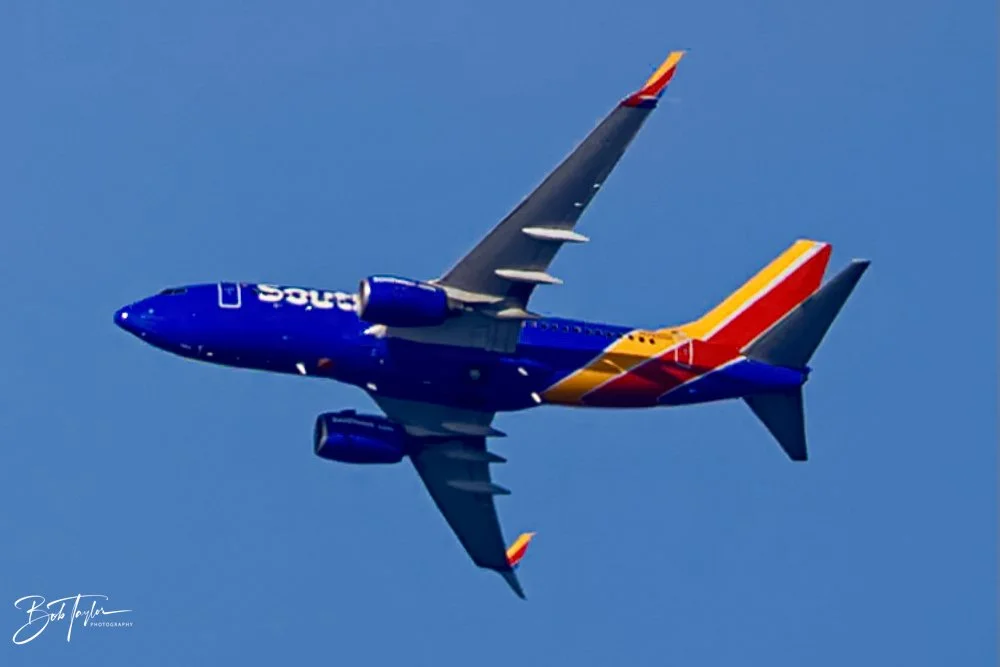 20231021-SASP 2023 -146.jpg