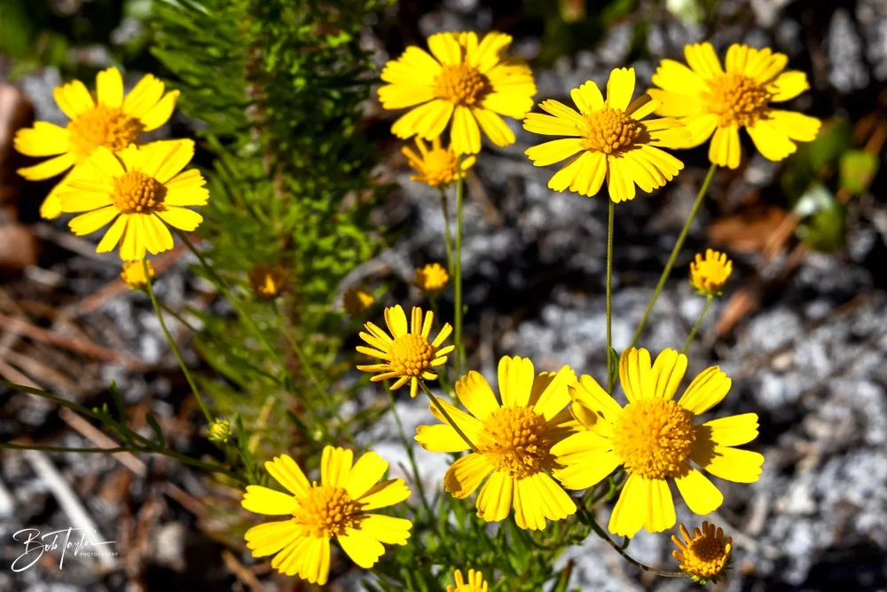 20231020-SASP 2023 -139.jpg