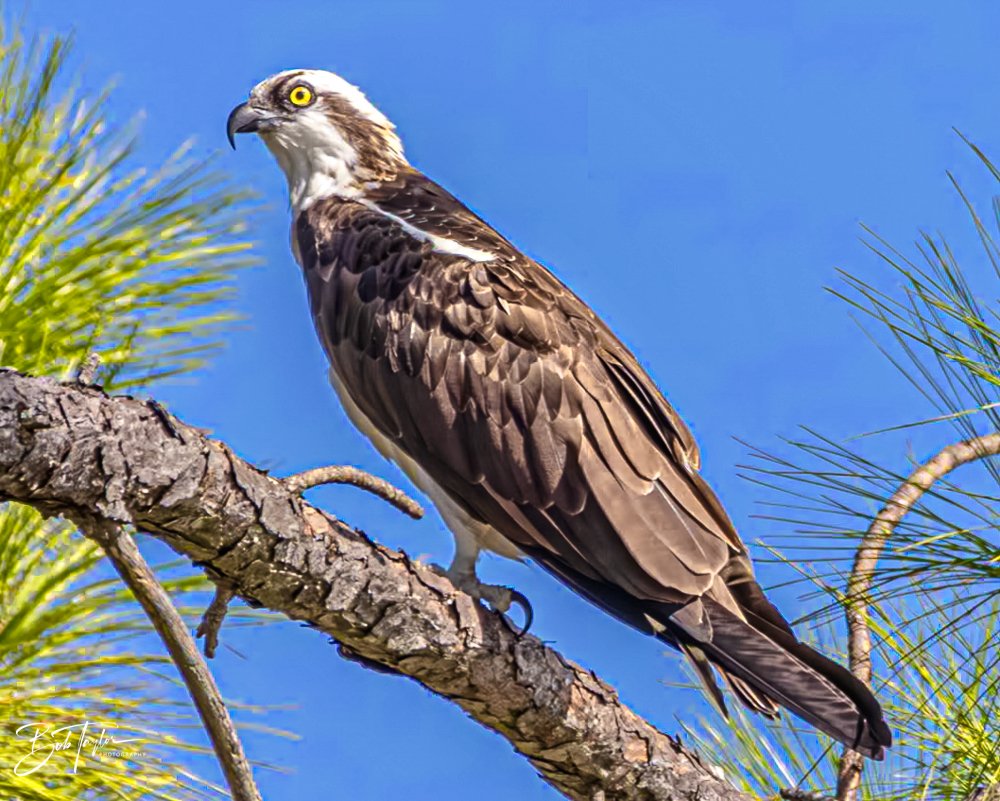 20231020-SASP 2023 -125.jpg