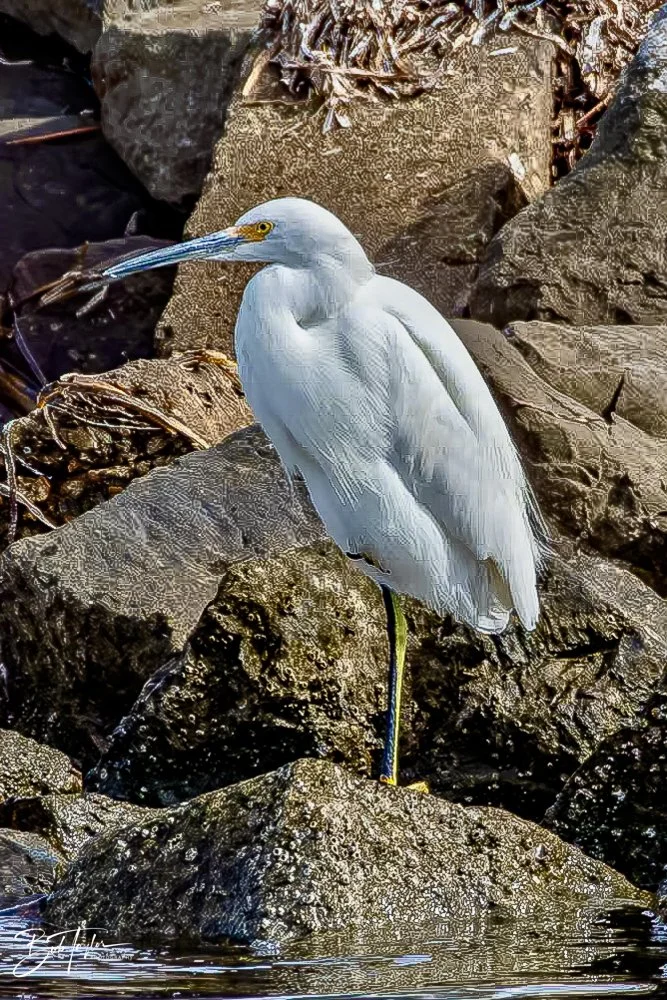 20231023-SASP 2023 -197.jpg