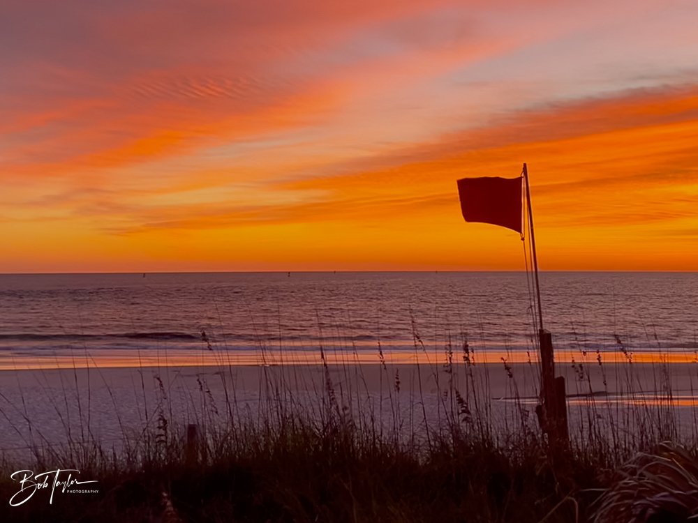 20231021-SASP 2023 -157.jpg