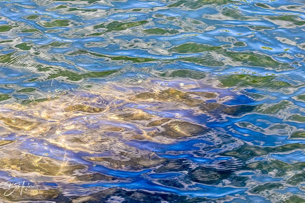 20231020-SASP 2023 -134.jpg