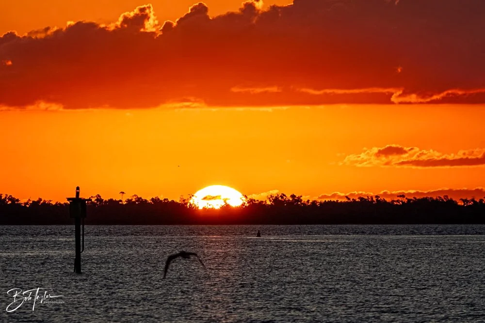 20231020-SASP 2023 -117.jpg