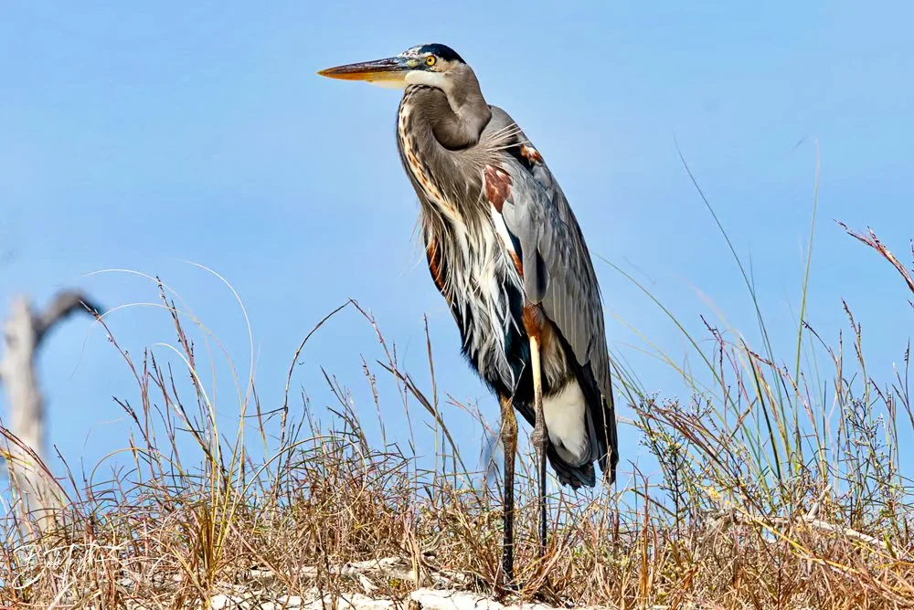 20231023-SASP 2023 -206.jpg