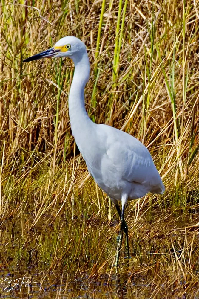 20231022-SASP 2023 -191.jpg