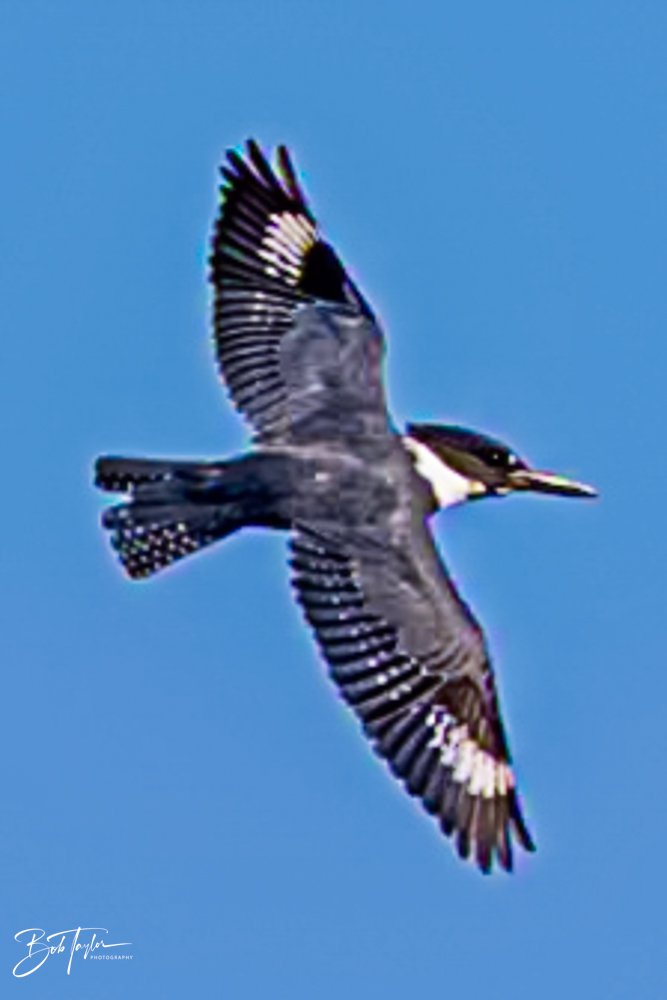 20231018-SASP 2023 -40.jpg