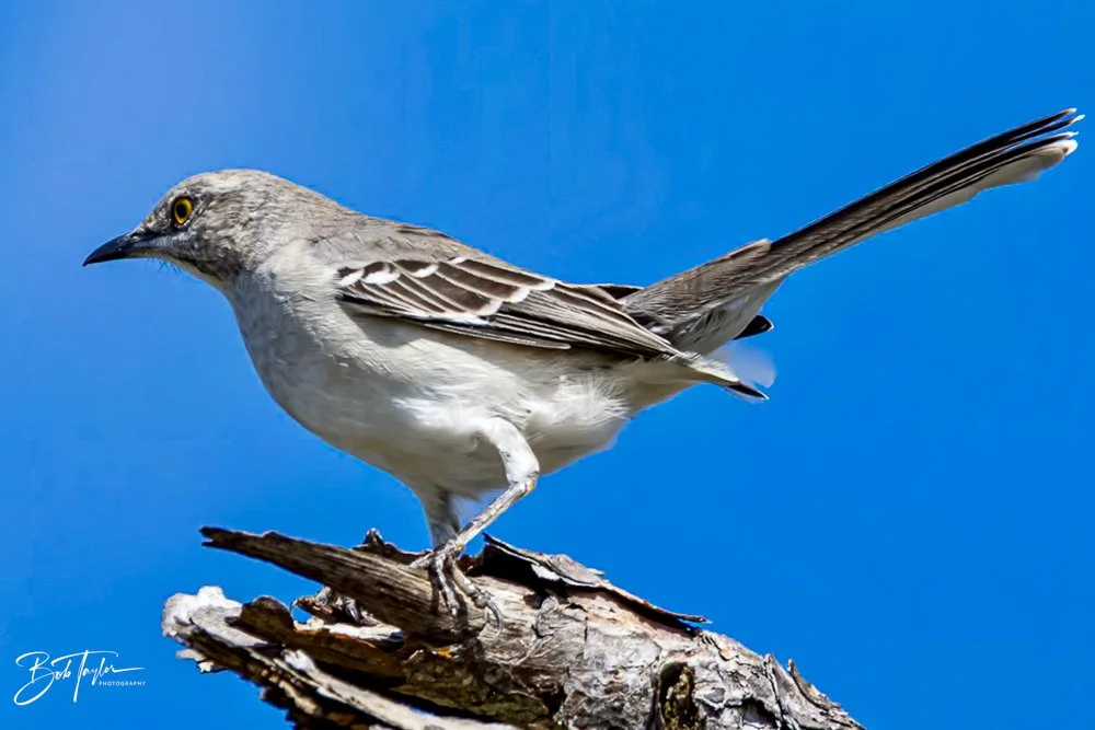 20231020-SASP 2023 -124.jpg