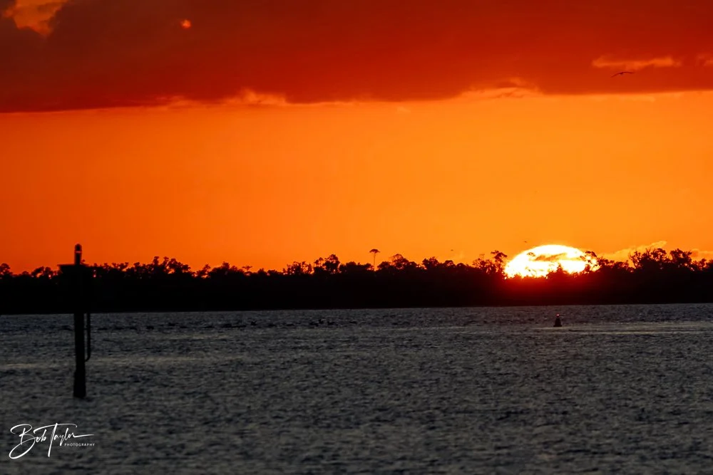 20231020-SASP 2023 -116.jpg