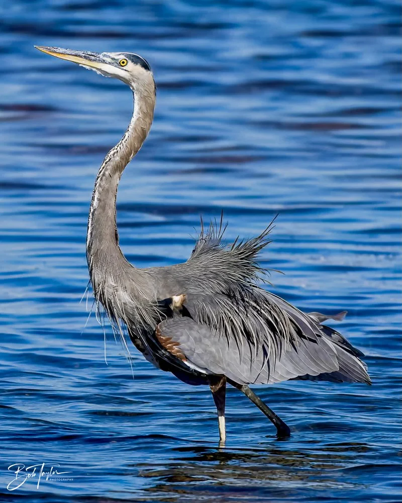 20231017-SASP 2023 -17.jpg