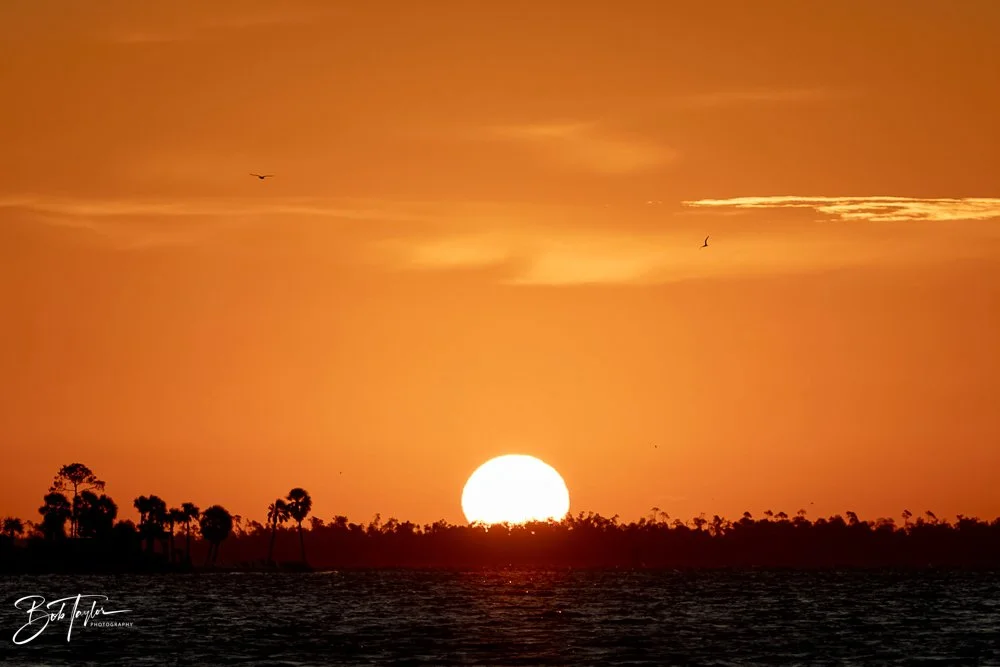 20231024-SASP 2023 -213.jpg