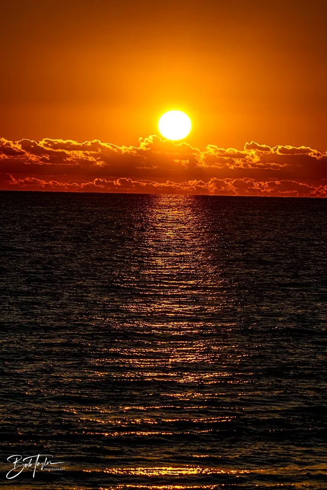 20231018-SASP 2023 -81.jpg