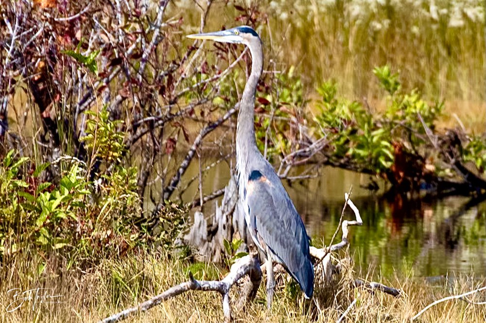 20231022-SASP 2023 -188.jpg