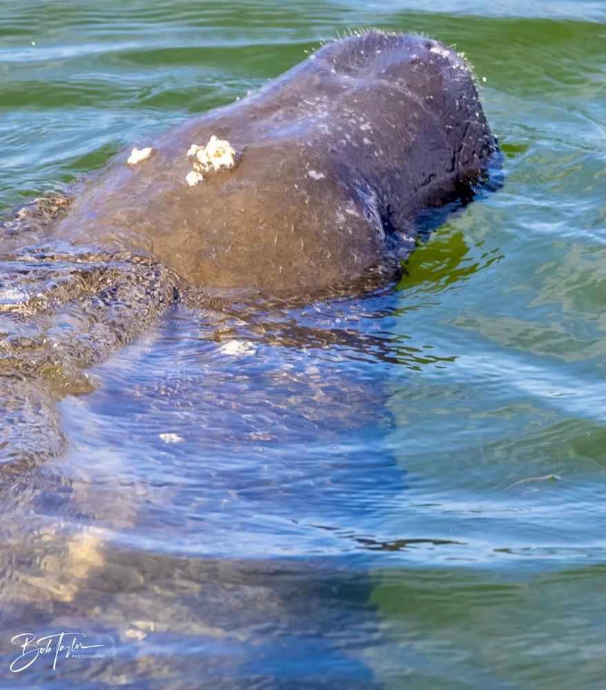 20231020-SASP 2023 -136.jpg