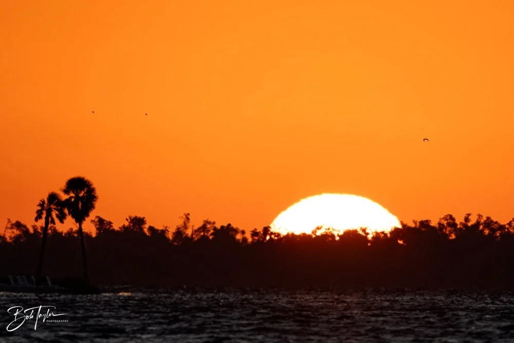 20231024-SASP 2023 -211.jpg