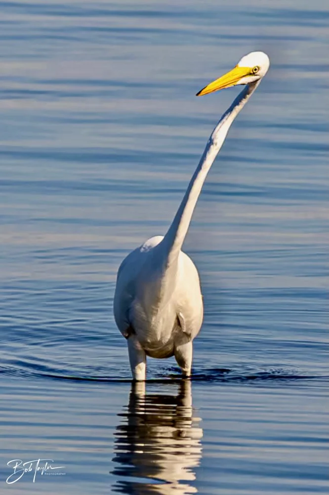 20231018-SASP 2023 -47.jpg