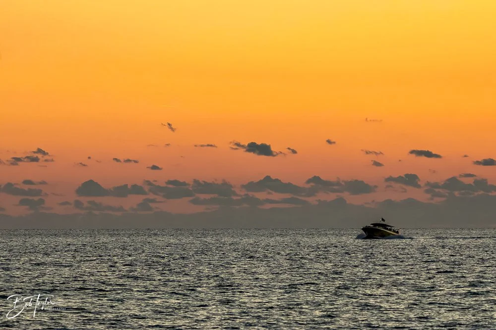 20231018-SASP 2023 -90.jpg