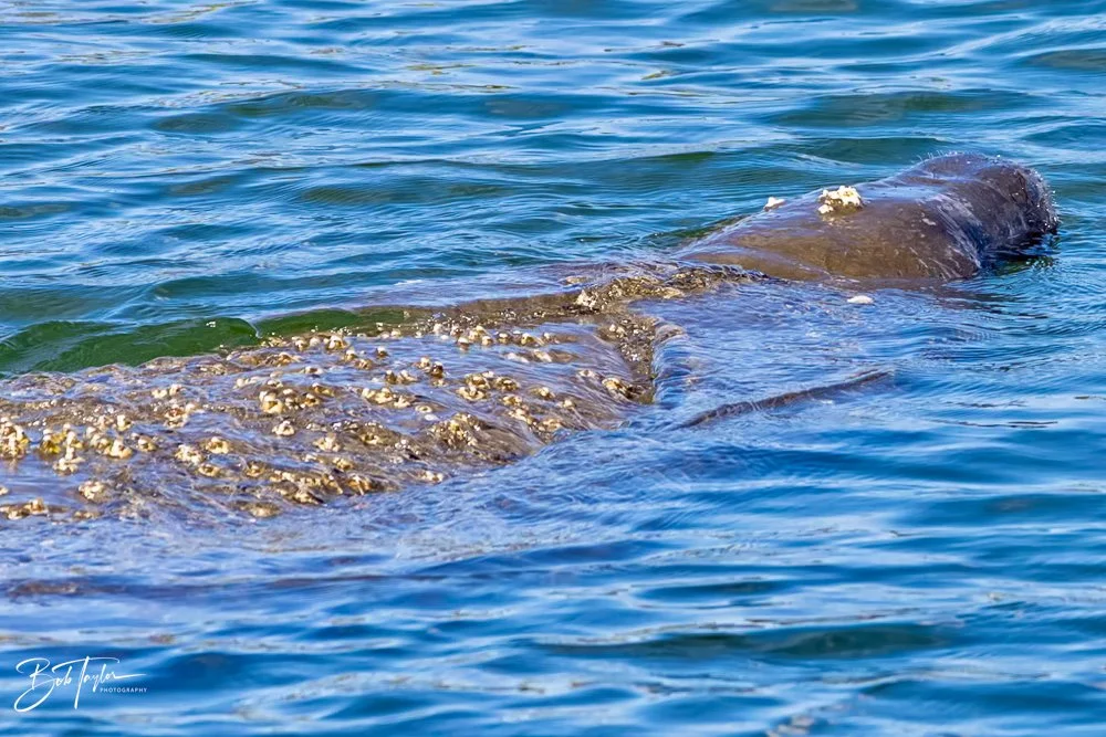 20231020-SASP 2023 -137.jpg