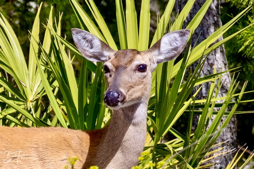 20231019-SASP 2023 -106.jpg