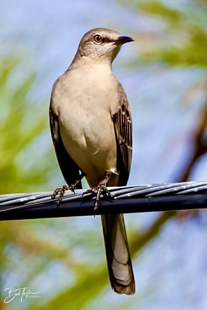 20231022-SASP 2023 -169.jpg