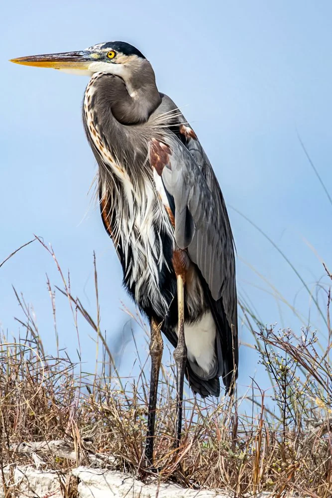 20231023-SASP 2023 -207.jpg