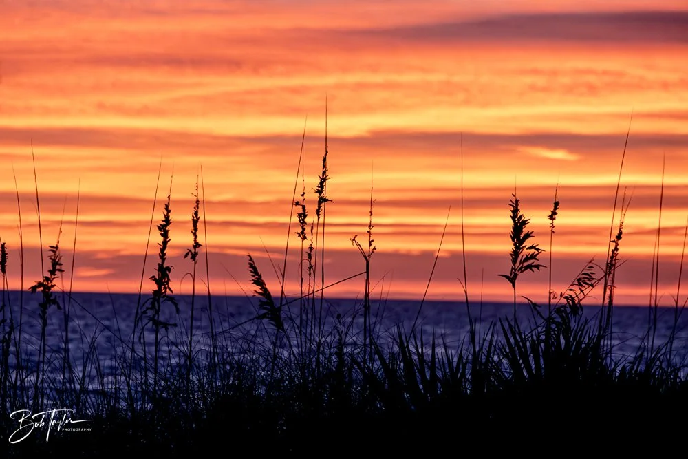 20231021-SASP 2023 -165.jpg