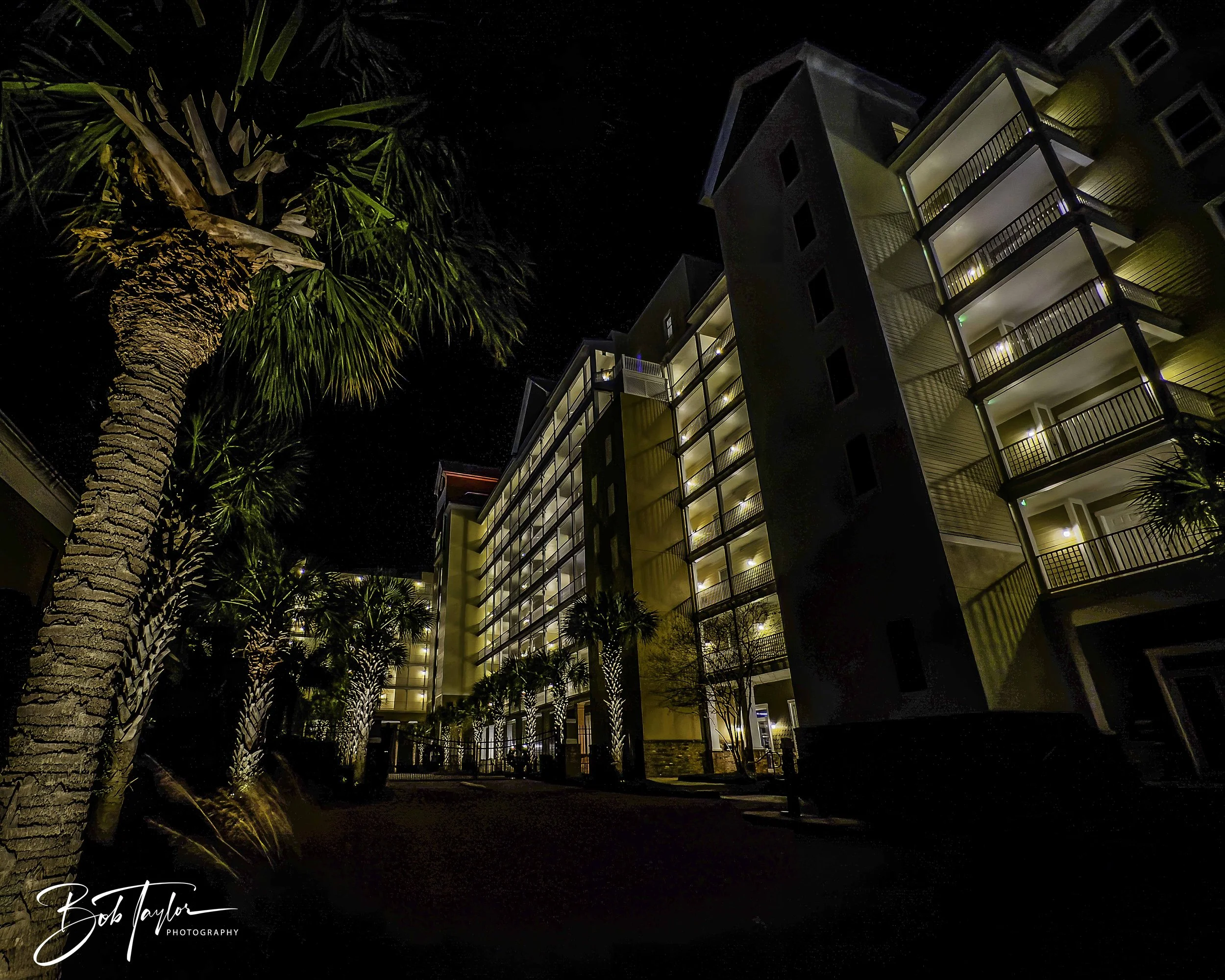 Harbor Village Night 5x4  Web--3.jpg