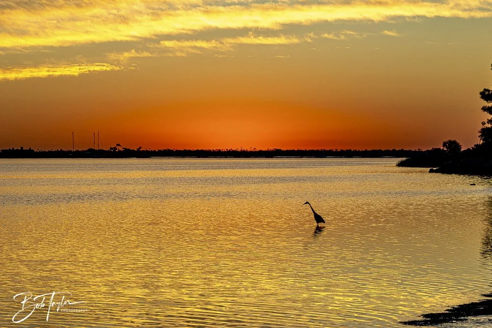 20250201-SASP Sunrises -8.jpeg