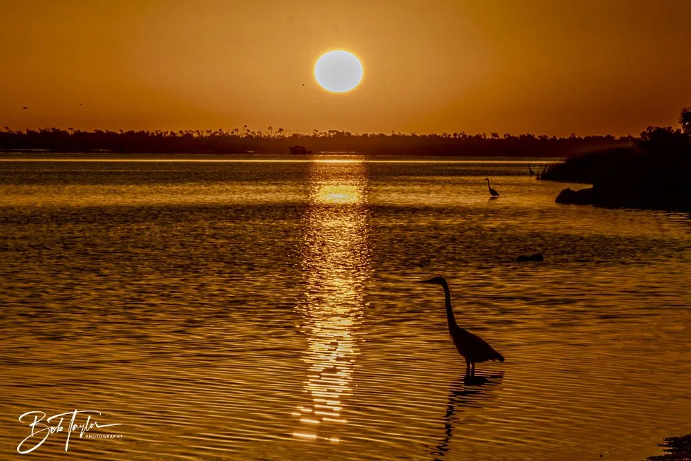 20250201-SASP Sunrises -12.jpeg