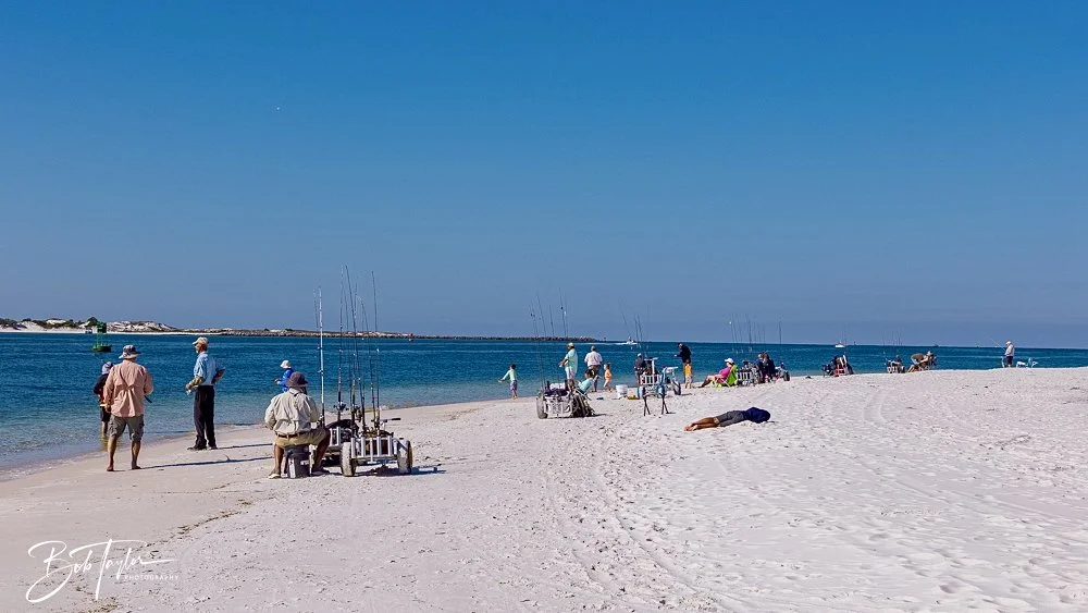 20250410-SASP Shoreline -10.jpeg