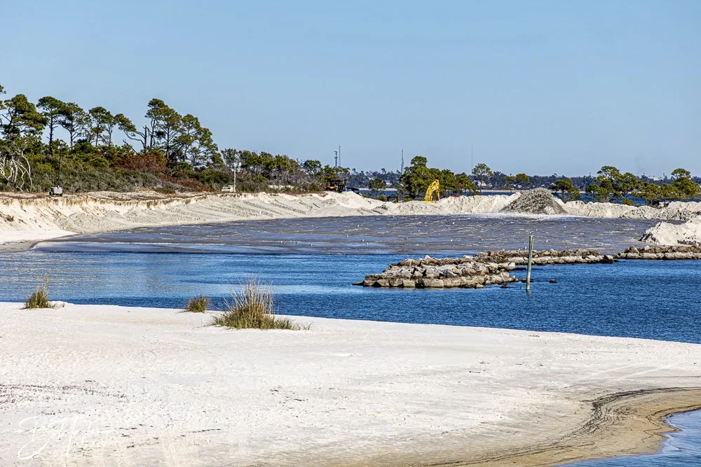 20250104-SASP -11.jpeg