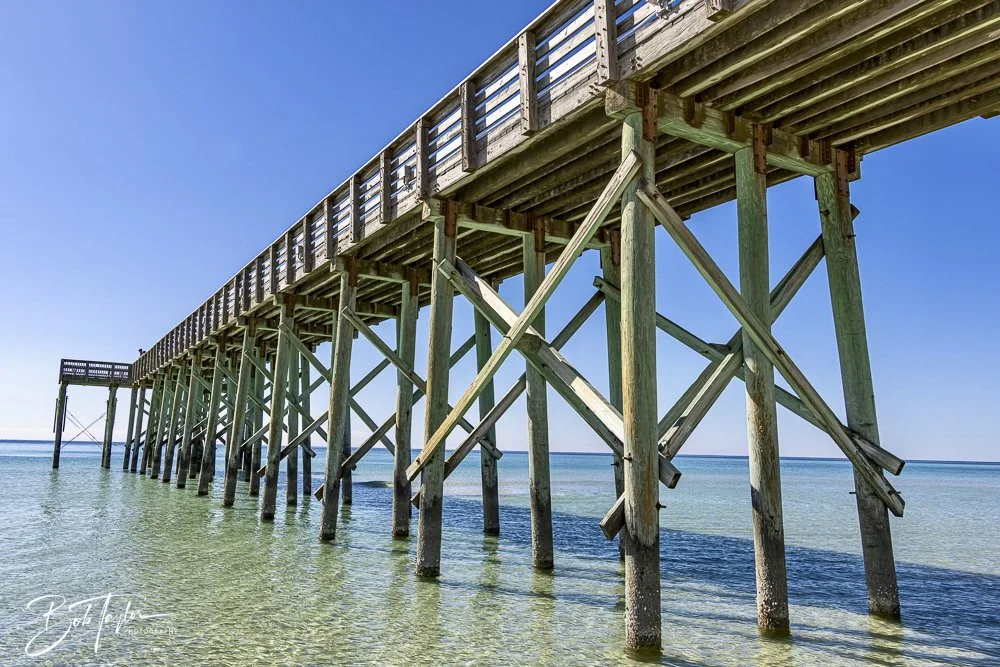 20250104-SASP -6.jpeg