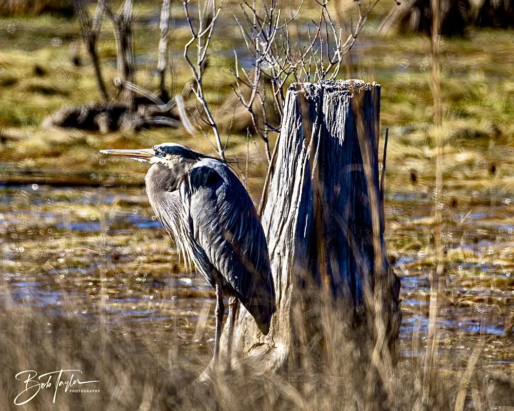 20250104-SASP -23.jpeg