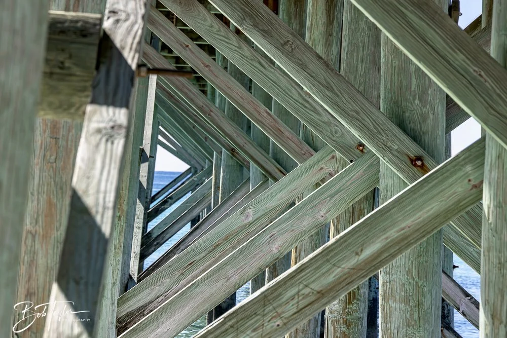 20250104-SASP -9.jpeg