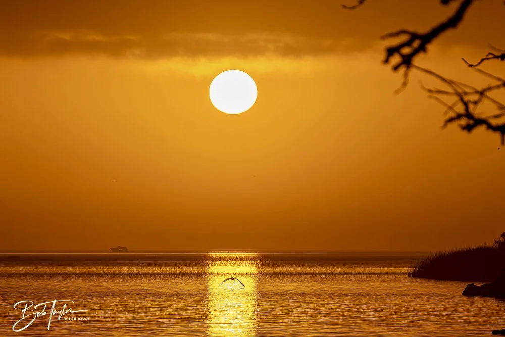 20250131-SASP Sunrises -5.jpeg