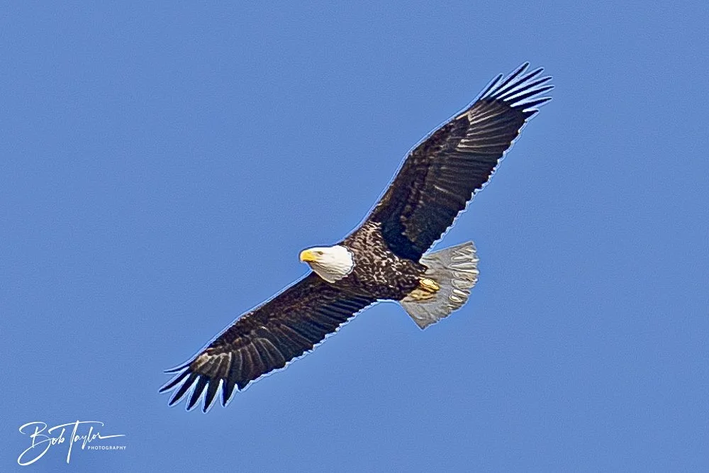 20250104-SASP -15.jpeg