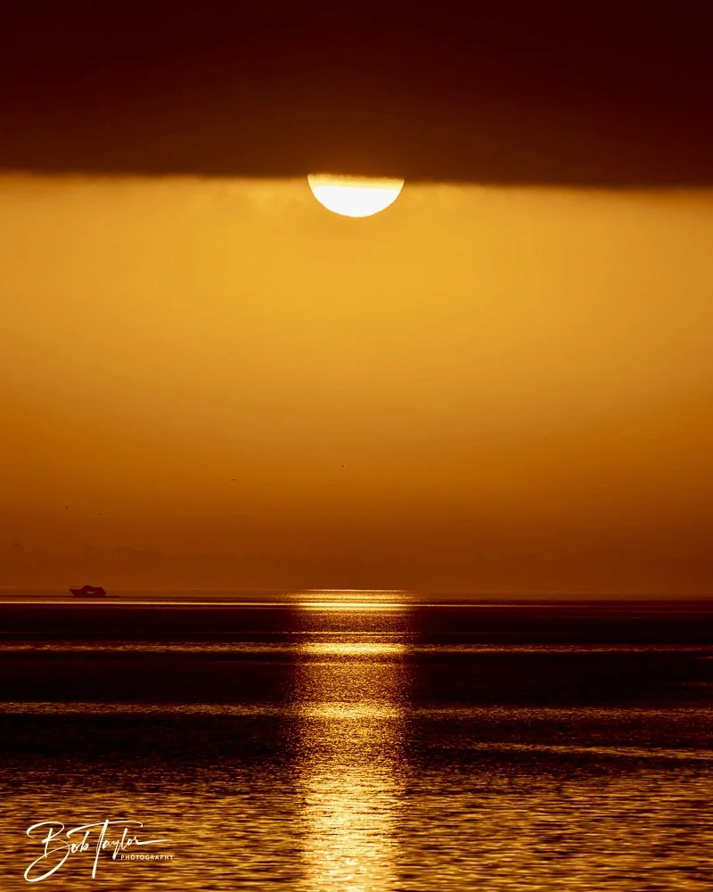 20250131-SASP Sunrises -7.jpeg