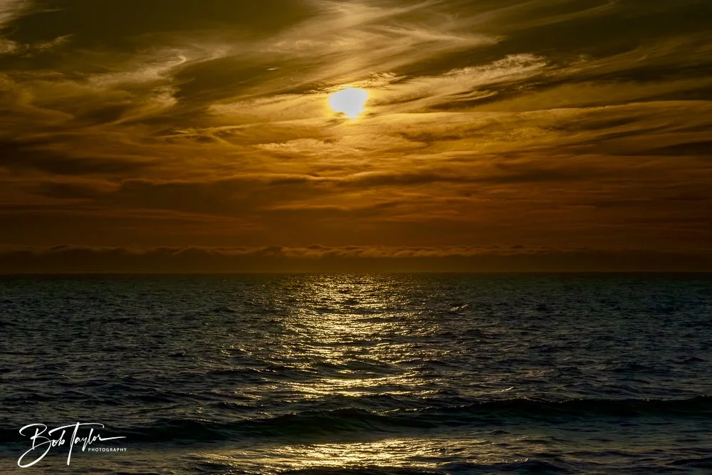 20250130-SASP Sunset -9.jpeg