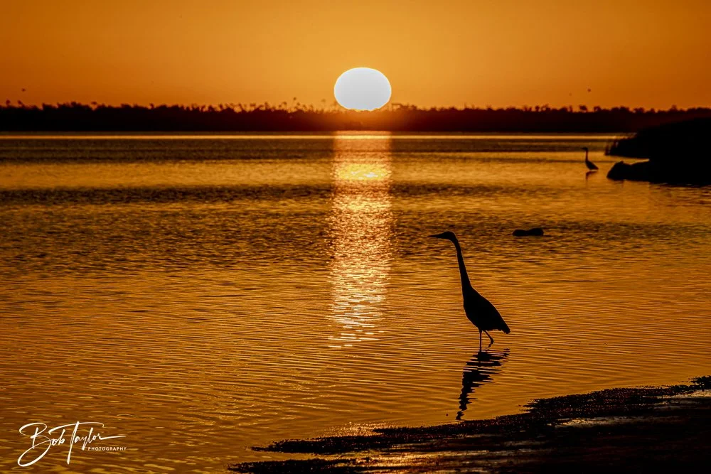 20250201-SASP Sunrises -10.jpeg