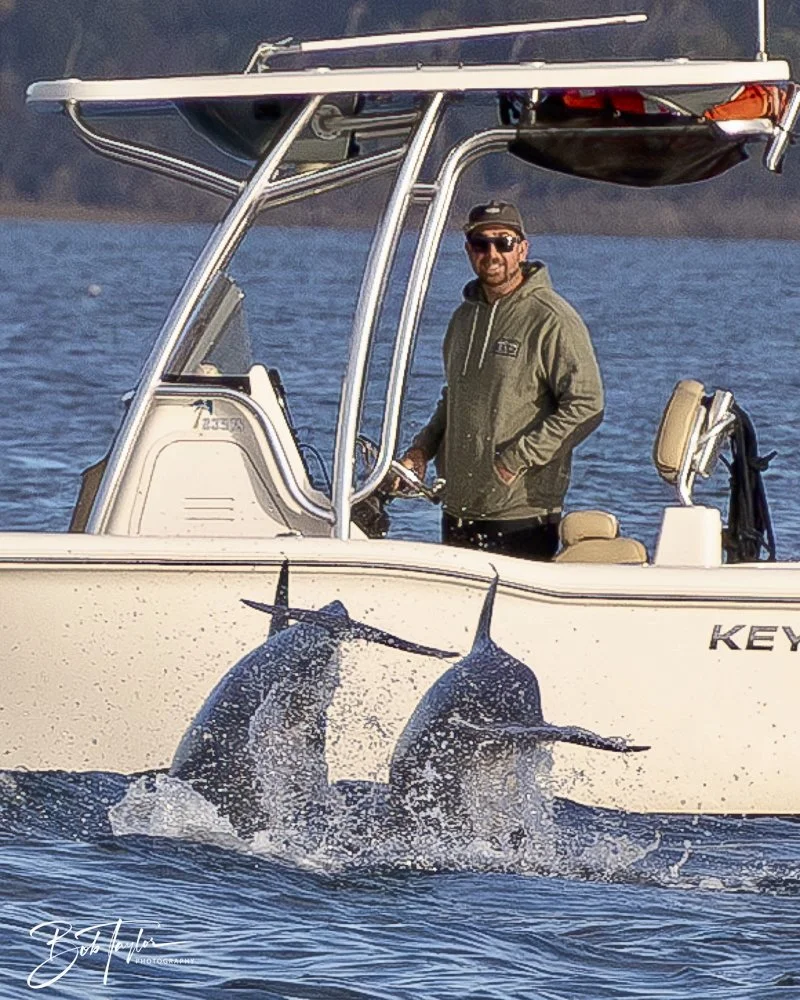 20250201-SASP Dolphins -9.jpeg