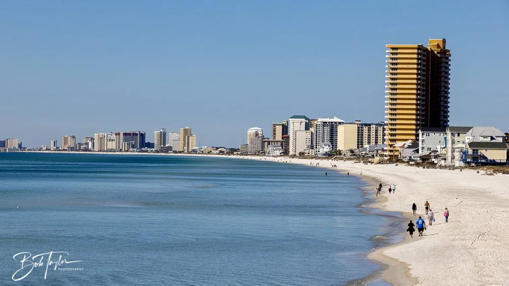 20250104-SASP -3.jpeg