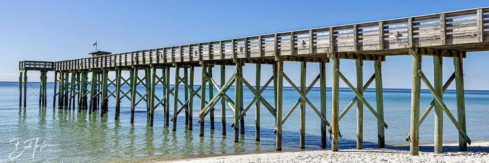 20250104-SASP -5.jpeg