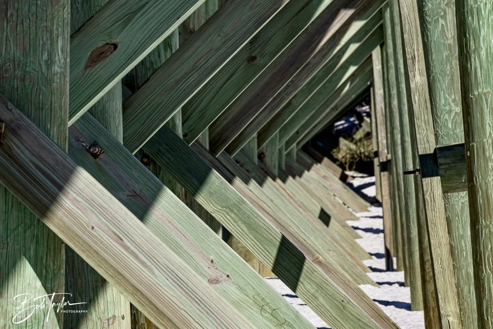 20250104-SASP -10.jpeg