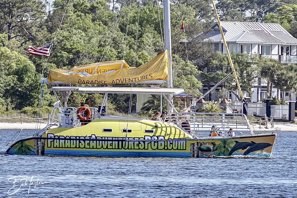 20250410-SASP Shoreline -7.jpeg