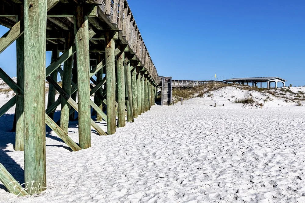 20250104-SASP -7.jpeg