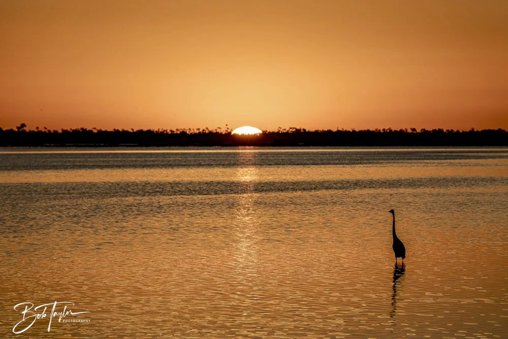 20250201-SASP Sunrises -9.jpeg