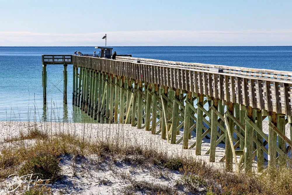 20250104-SASP -1.jpeg